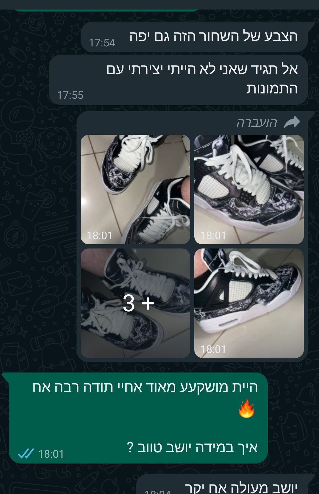 ביקורות5